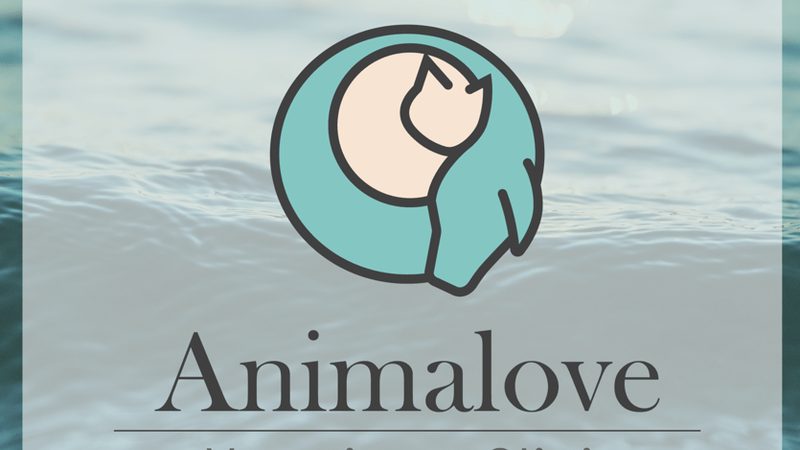 AnimaLove Veterinary Clinic — Sayulita